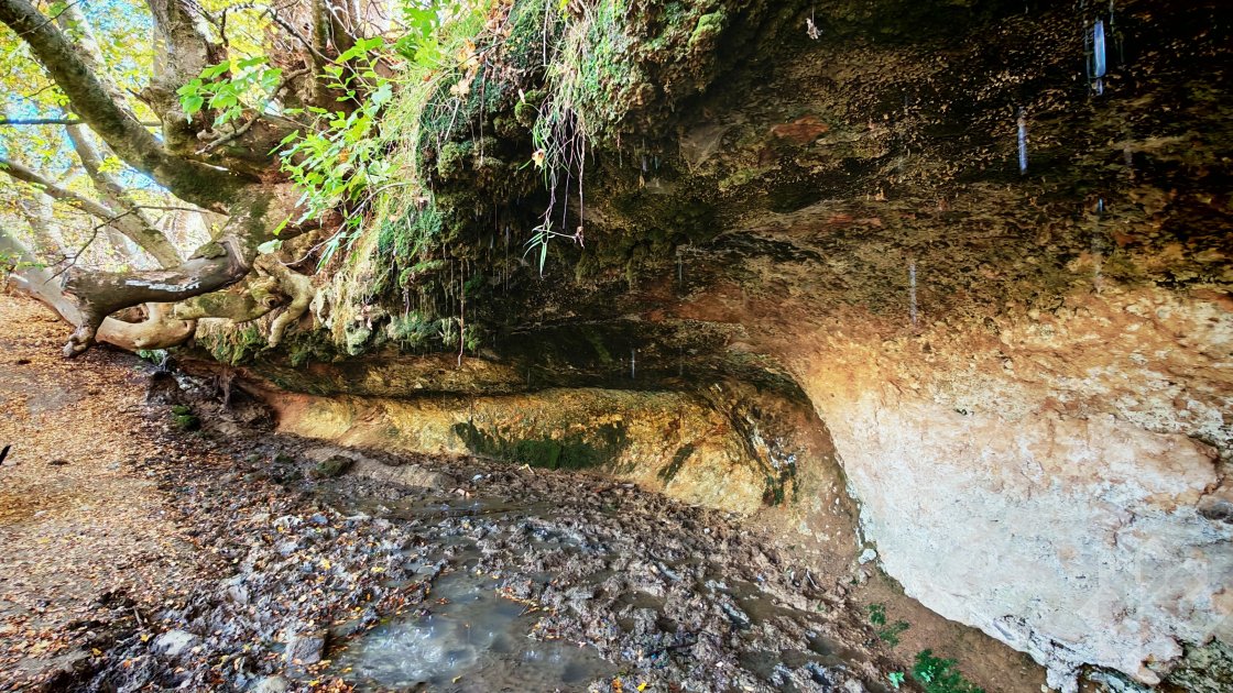 Daşın, ağacın və suyun ülfətindən yaranan Xocalının Damcılı bulağı