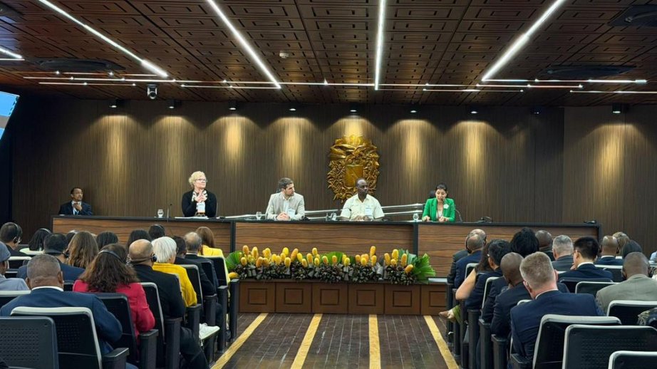 Belemdə keçirilən parlament görüşündə COP29-un nəticələrindən bəhs edilib