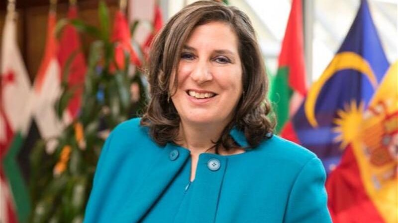 TAP-la qaz tədarükü onun qiymətini istehlakçılar üçün daha proqnozlaşdırıla bilən edib - Brenda Şaffer