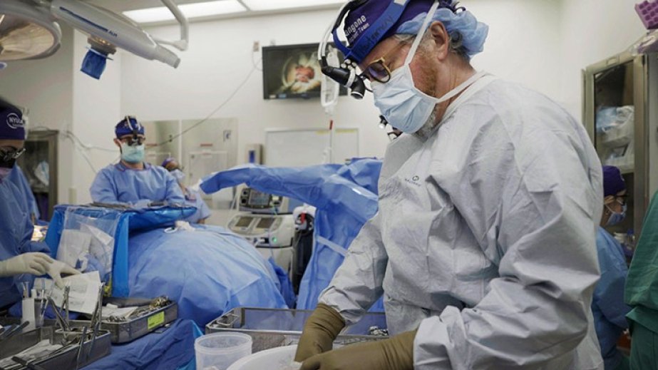 Macaque survives over a year after pig kidney transplant in China