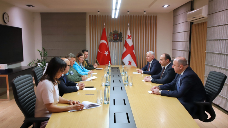 Türkiyə nümayəndə heyəti Gürcüstanda təyyarə qəzasının baş verdiyi əraziyə baxış keçirib