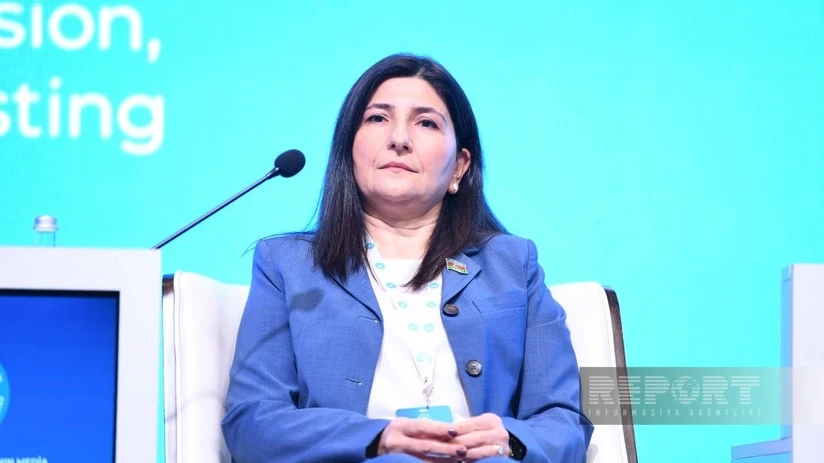 Deputat: Media dinamik inkişaf etsə də, bu sahədə qanunvericiliyin tətbiqi geridə qalır
