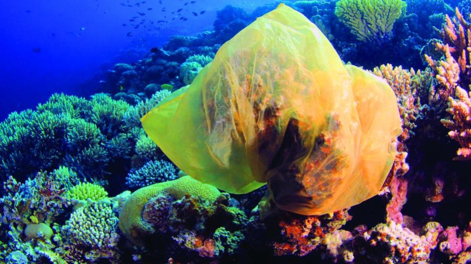 Misirdə sərt qaydalar: Turistlər ciddi dəyişikliklərə hazır olmalıdırlar