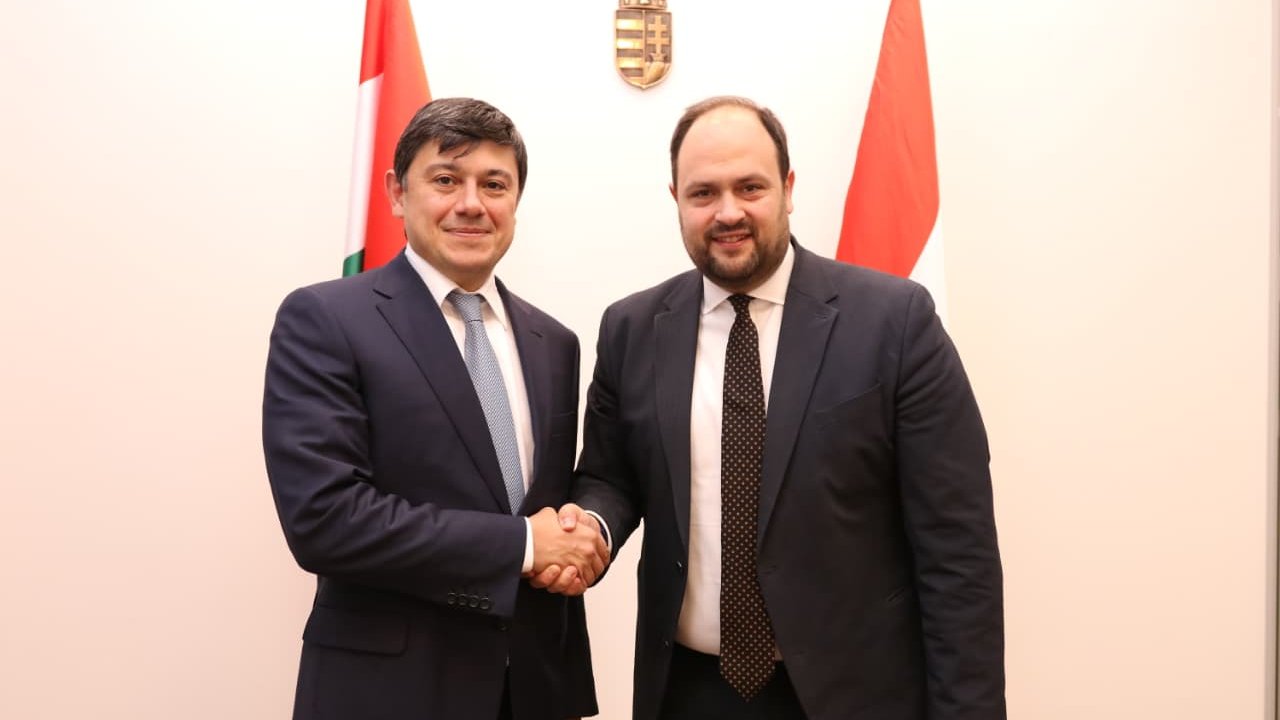 Azerbaijan, Hungary pave way for diaspora cooperation issues