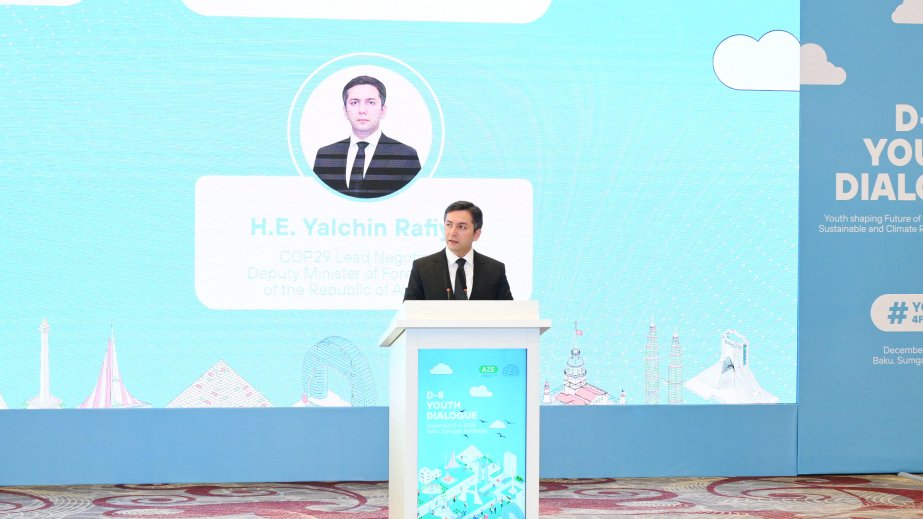 Yalchin Rafiyev: We intent to launch new D-8 centers in Baku
