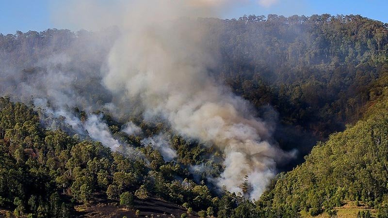 Avustralya'da 50'den fazla orman yangını çıktı