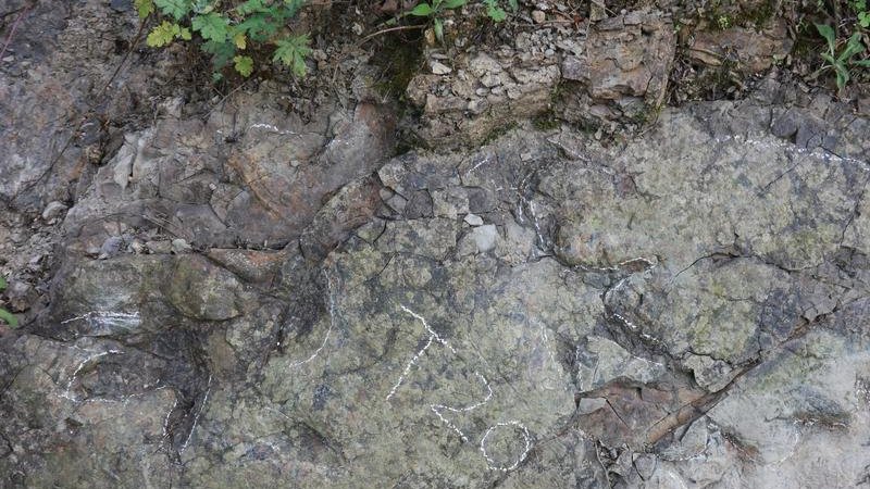 Çin'de yaklaşık 200 milyon yıl öncesine ait dinozor ayak izleri bulundu