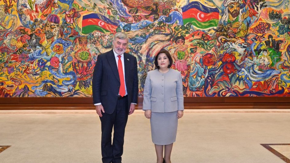 Azerbaijan, UK discuss strengthening interparliamentary ties