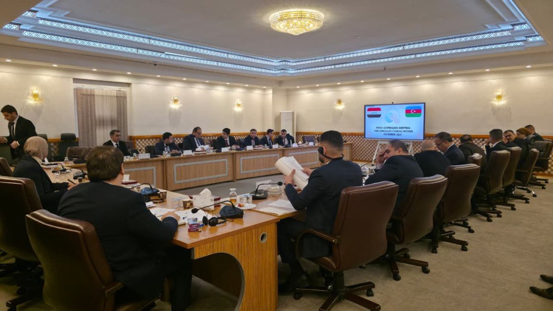Azerbaijan, Iraq discuss visa regime simplification