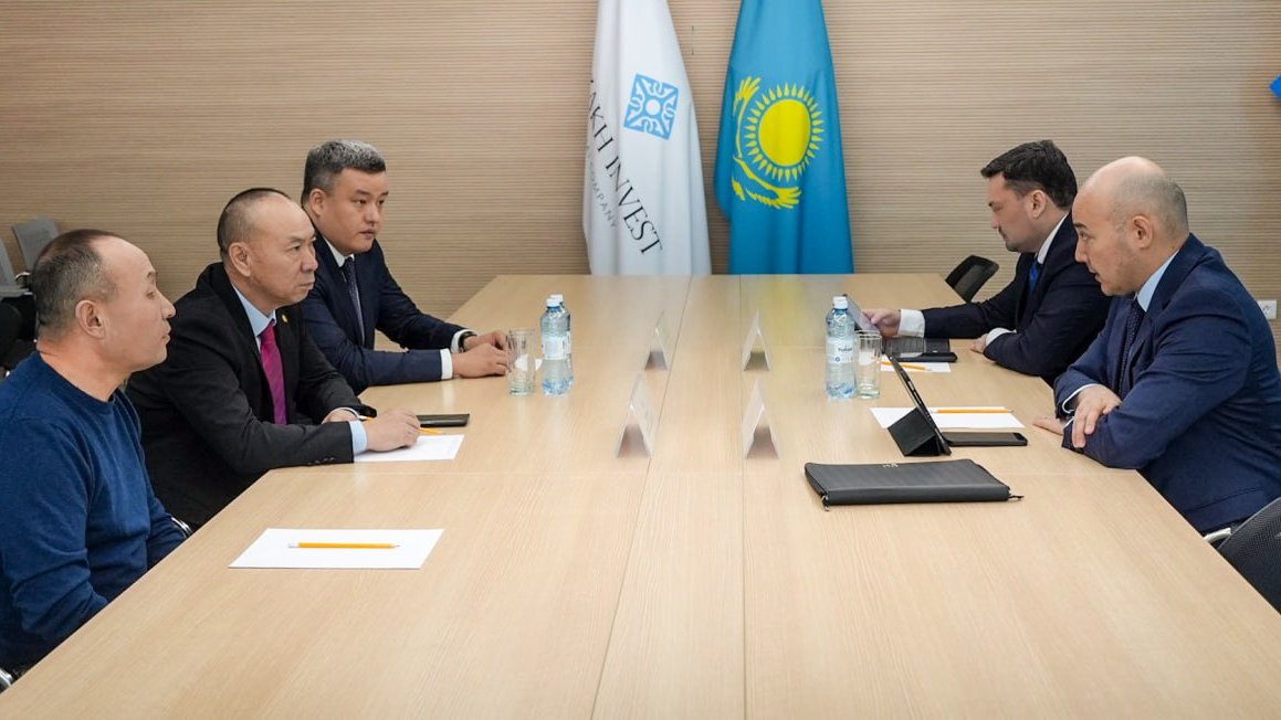 Chinese firm explores opportunities in Kazakhstan's energy modernization