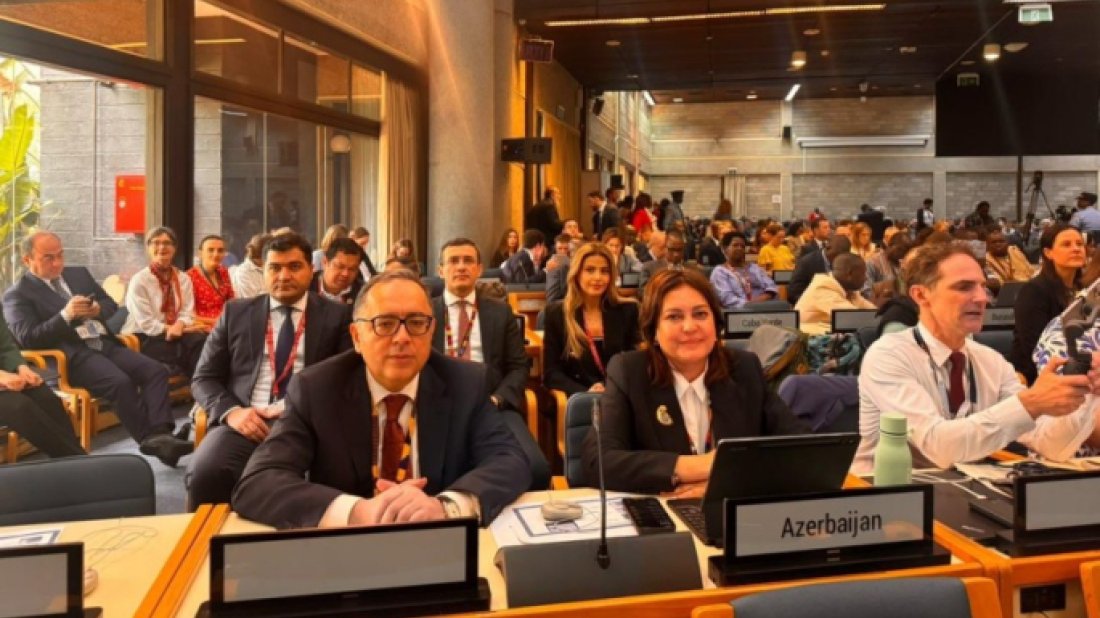 Nazir müavini: Yeni hədəfimiz emissiyaları 2035-ci ilə qədər 40 faiz azaltmaqdır
