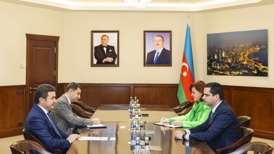 Azerbaijan and Slovakia discuss aviation cooperation