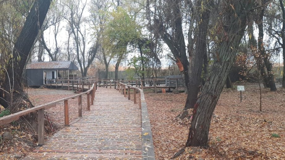 Zəngilanda inşaat qalıqlarından istifadə edilməklə istirahət məkanı yaradılıb