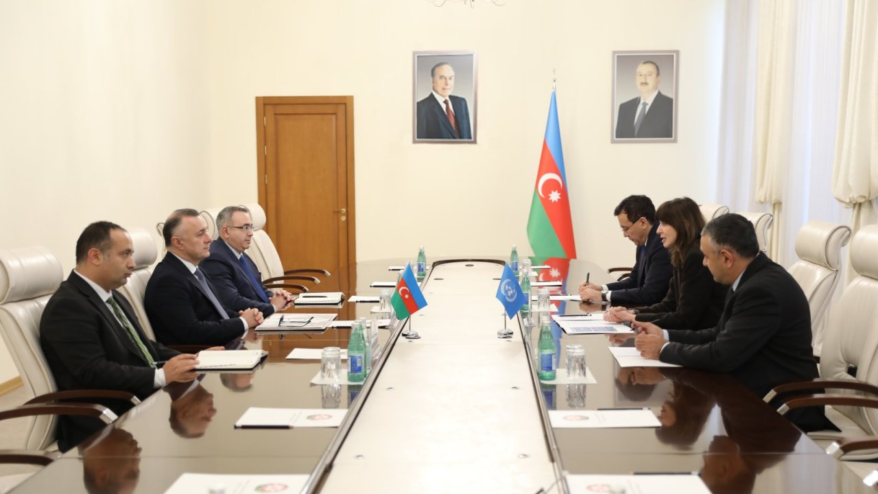 Səhiyyə naziri BMT-nin Azərbaycandakı rezident əlaqələndiricisi ilə görüşüb