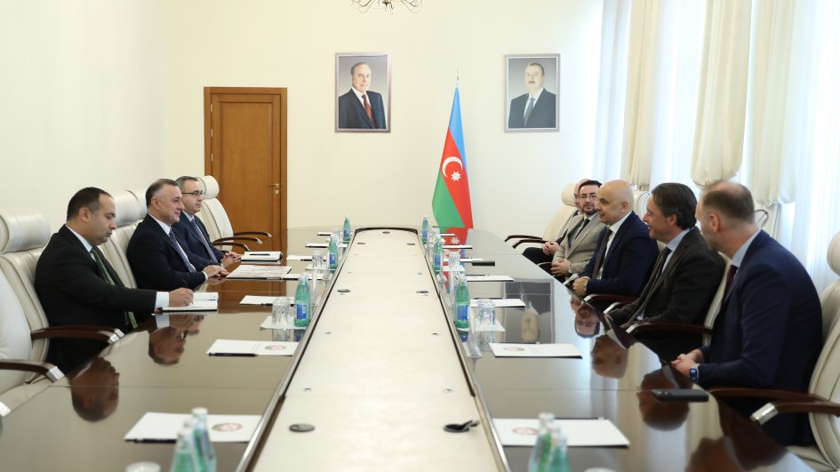 Azerbaijani Health Minister meets with medical specialists of high international repute