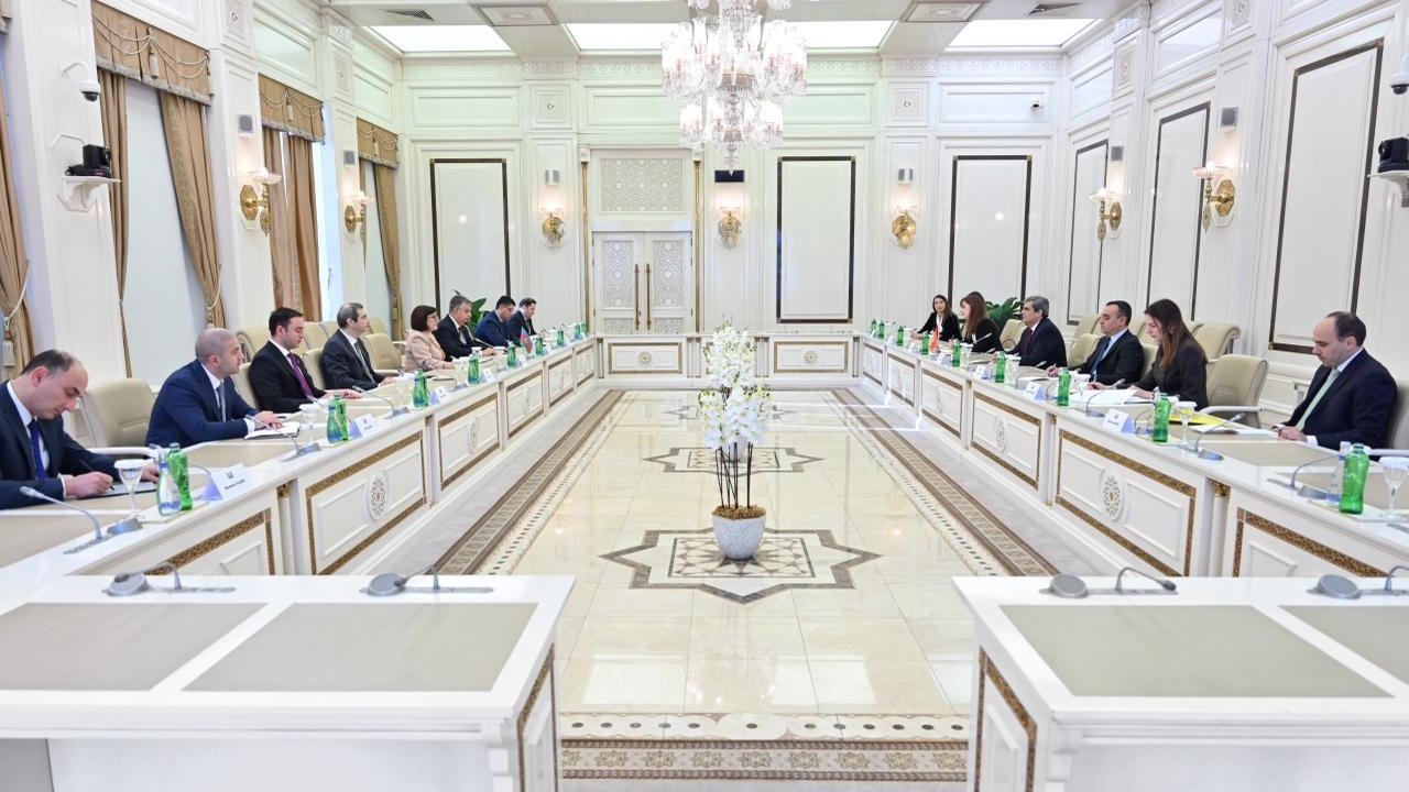 Sahibə Qafarova Monteneqro Baş nazirinin müavini ilə görüşüb