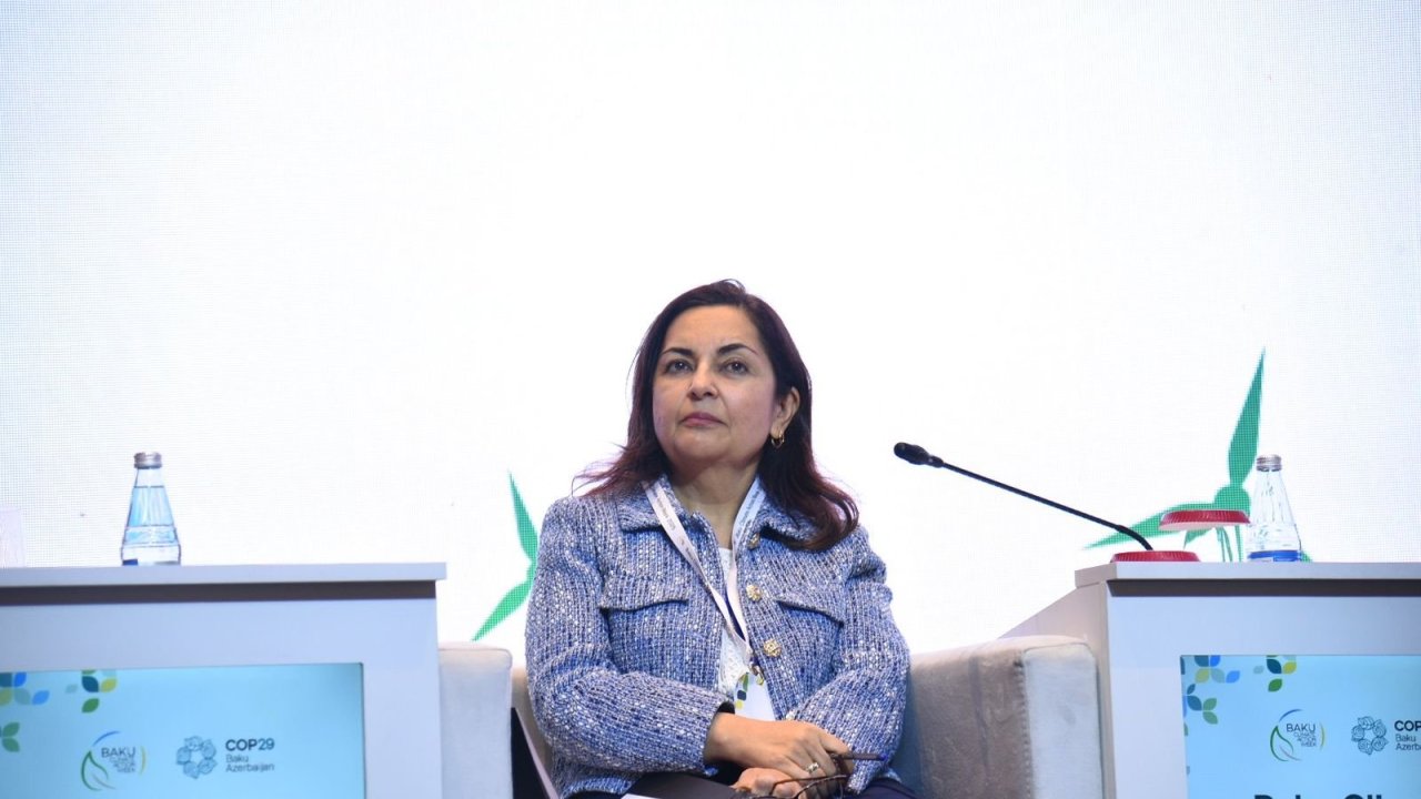 ADB to continue supporting Azerbaijan in its green transition over next 5 years - Sunniya Durrani-Jamal