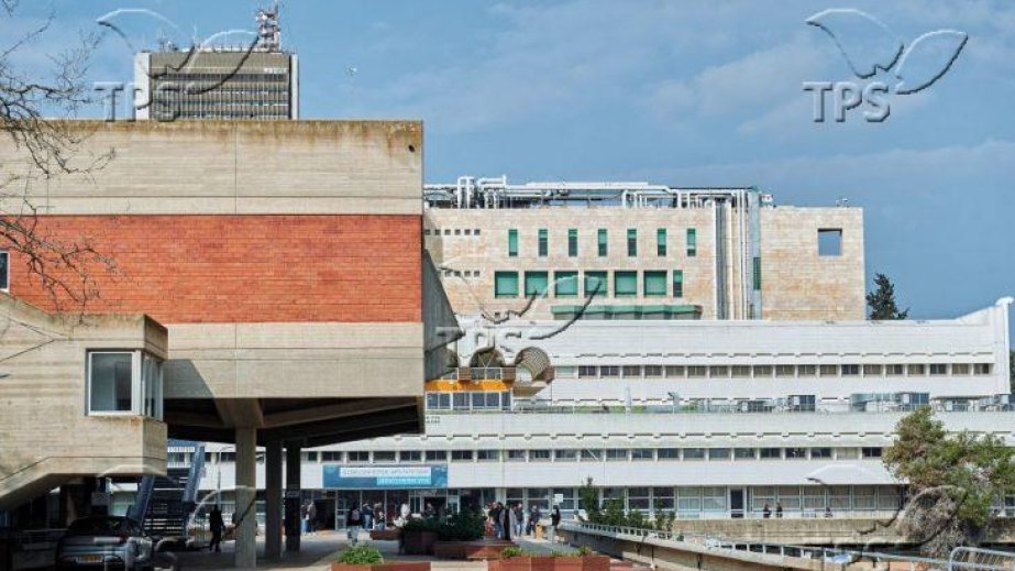 Brain synchronization during social interaction tied to mental resilience, study says