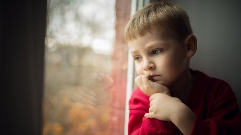 İndiyə qədər 75 uşaq himayədar ailələrə verilib - RƏSMİ