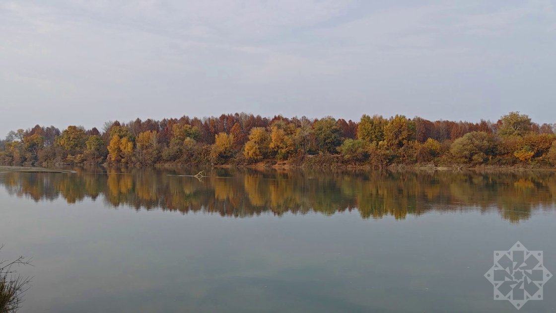 A unique destination for ecotourism: Tugay forests stretching along the Kura River