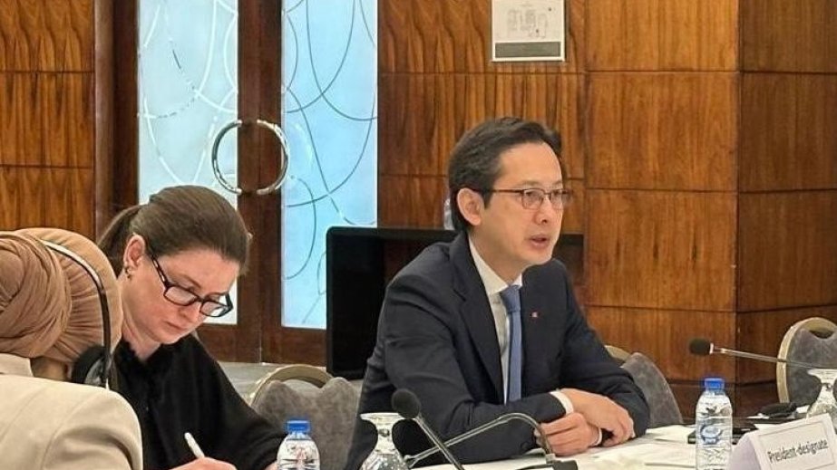 Vietnam chairs consultation on NPT RevCon 11 with Middle East, North Africa countries