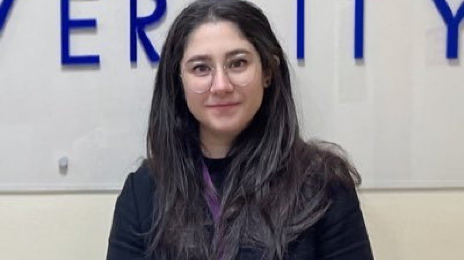 Ekspert: Türkiyənin enerji şirkətlərinin Azərbaycanda Günəş və külək enerjisi layihələrində iştirakı gündəmdədir