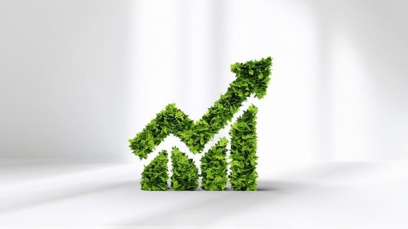 Turkmenistan’s green energy ambitions and current dynamics