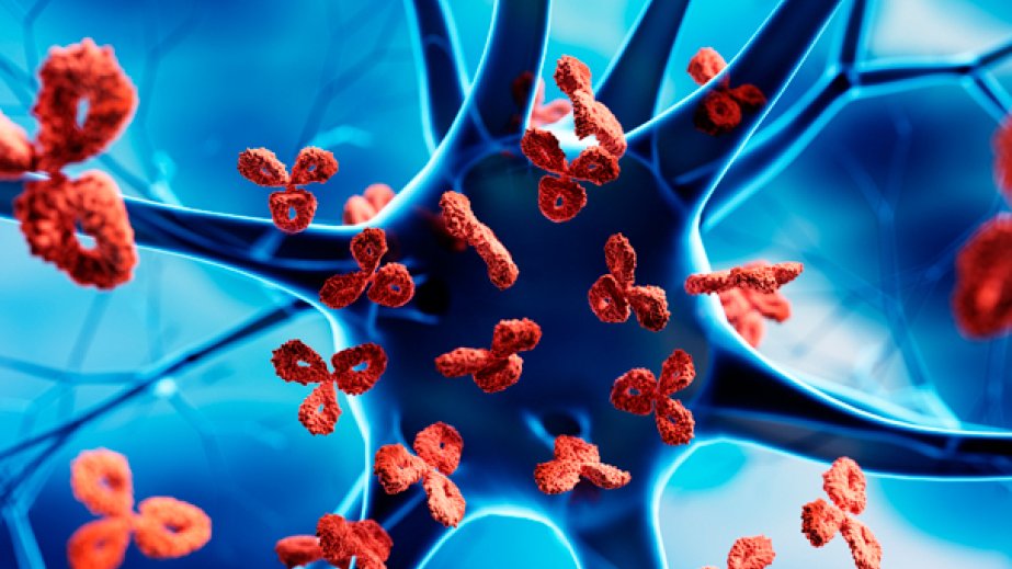 Research breakthrough explains how viral infection can lead to multiple sclerosis