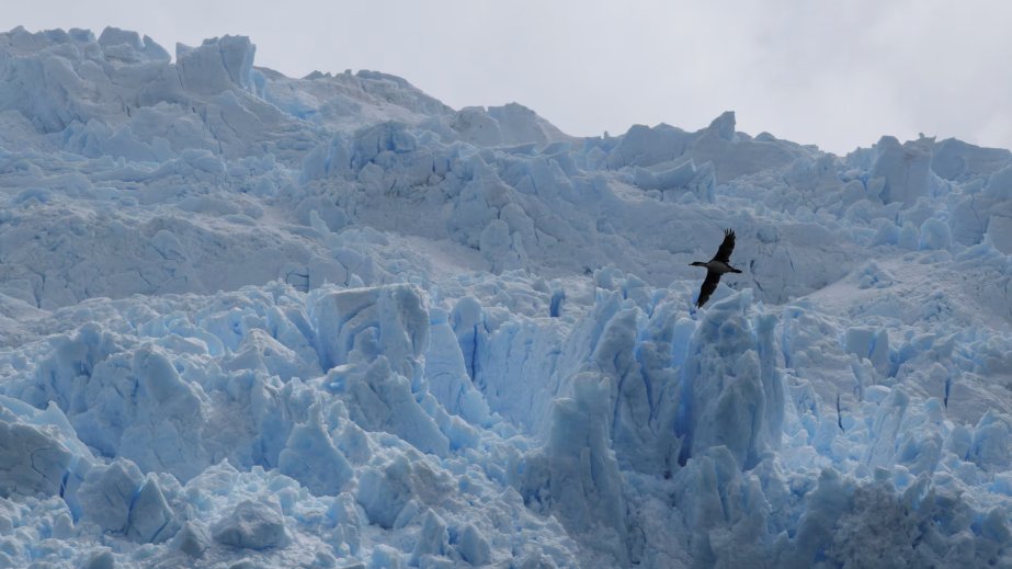 Planetin ən ucqar guşələrindən birində milli park salınır