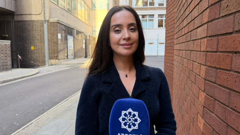 Azerbaijani scientist: Humanity endures despite memory loss in Alzheimer's disease