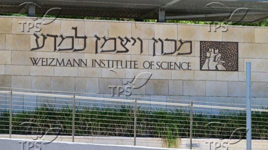 Scientists pinpoint tissue-regenerating cells, offering hope for cancer and burn victims