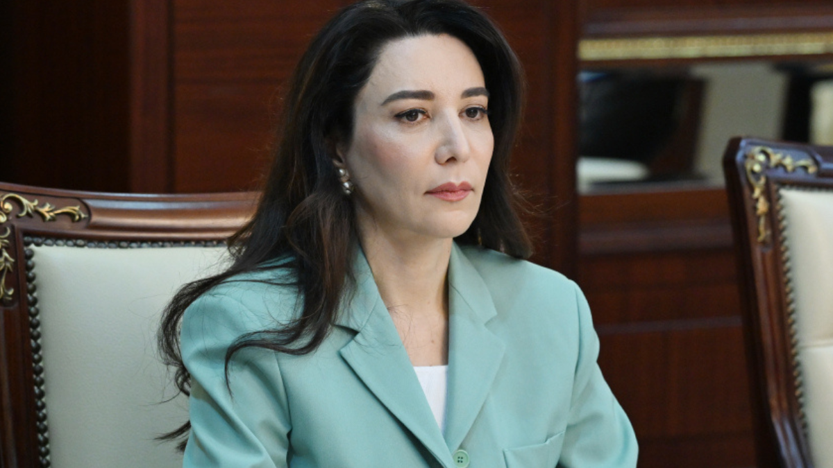 Ombudsmana yeni səlahiyyət veriləcək