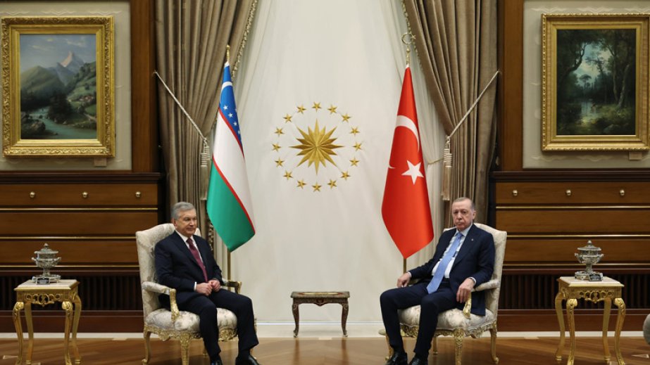 Turkic world will leave its mark on this century: President Erdogan