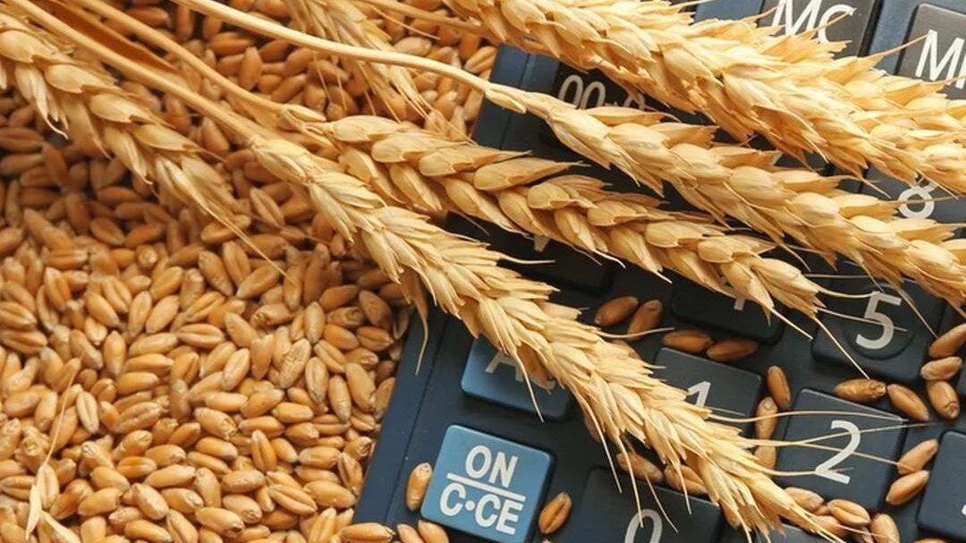 Qazaxıstandan Azərbaycana taxıl ixracı azalıb