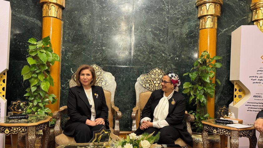 Azerbaijan, Egypt discuss cooperation on women issues