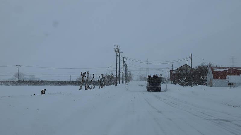 Japonya'da yoğun kar yağışı nedeniyle hayatını kaybedenlerin sayısı 30'a yükseldi