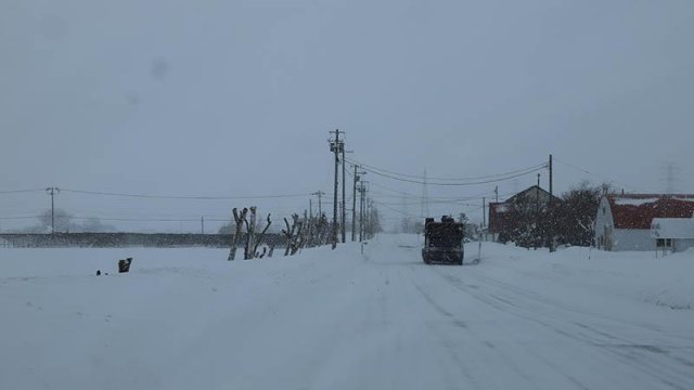 Japonya'da yoğun kar yağışı nedeniyle hayatını kaybedenlerin sayısı 30'a yükseldi