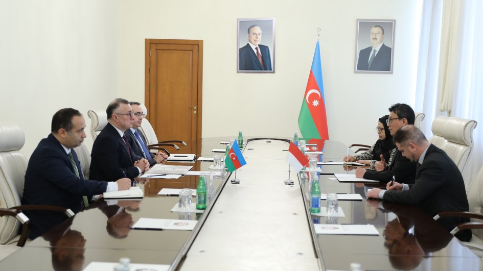 Azerbaijan, Indonesia discuss healthcare cooperation