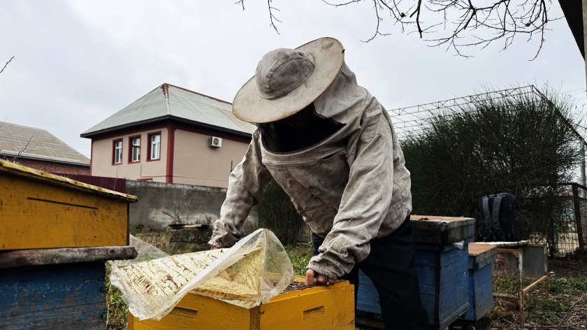 Arıçılıqda uğur düsturu: ABAD-ın dəstəyi və fərdi zəhmət bir arada