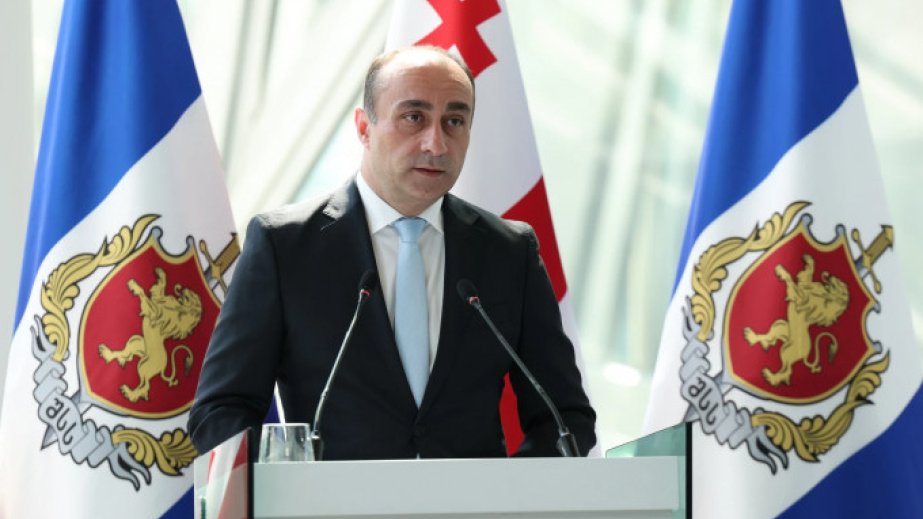 Bu il 4 minə yaxın qanunsuz miqrantın Gürcüstandan çıxarılması planlaşdırılıb