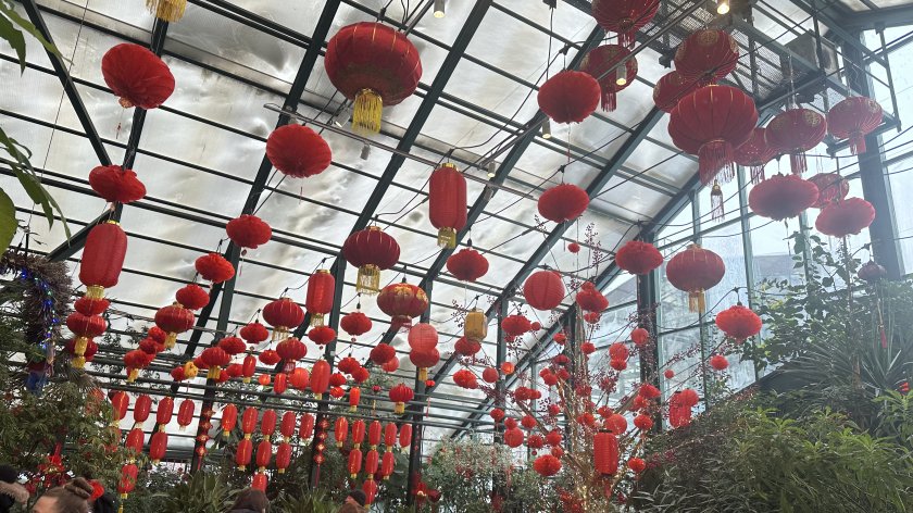 Qırmızı od atı Çin ənənəsində yenilənmə və müsbət dəyişikliklərin rəmzidir