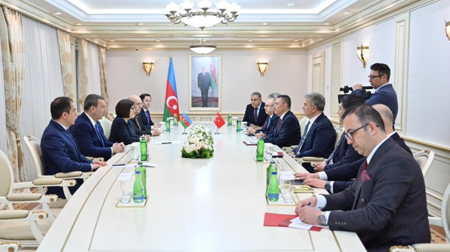 Azerbaijan, Türkiye explore interparliamentary cooperation