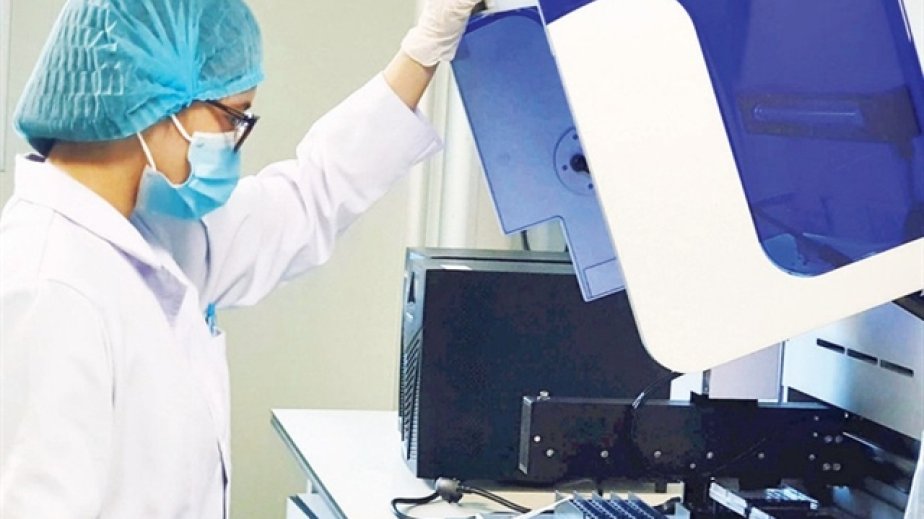 Vyetnamda qədim insan genomları uğurla deşifrə edilib