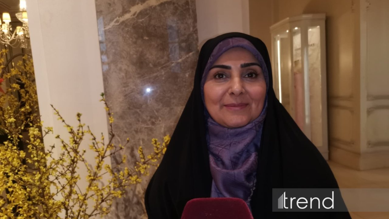 Iran pushes to launch rail link in North-South Transport Corridor - minister (Exclusive Interview)