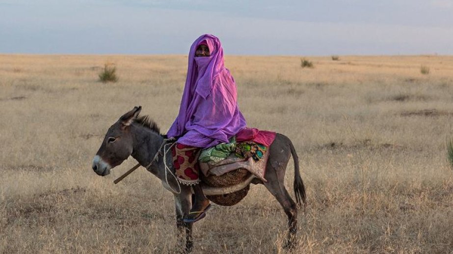 BMT: Dünyada 1 milyarddan çox insan yaxın beş ildə öz torpaqlarından və evlərindən məhrum olmaqdan ehtiyatlanır