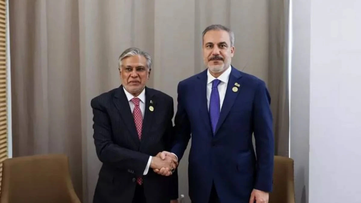 Fidan, Dar discuss Pakistan-Afghanistan tensions