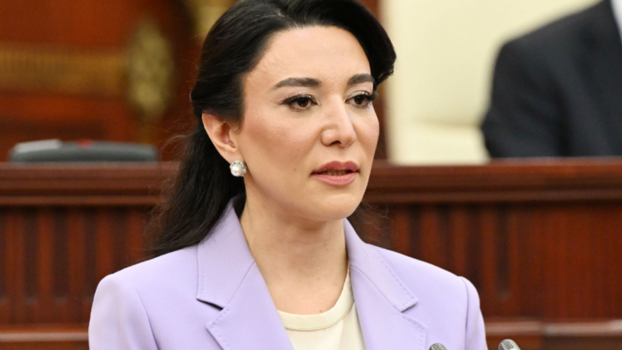 Milli Məclis Ombudsmanın məruzəsini qəbul edib