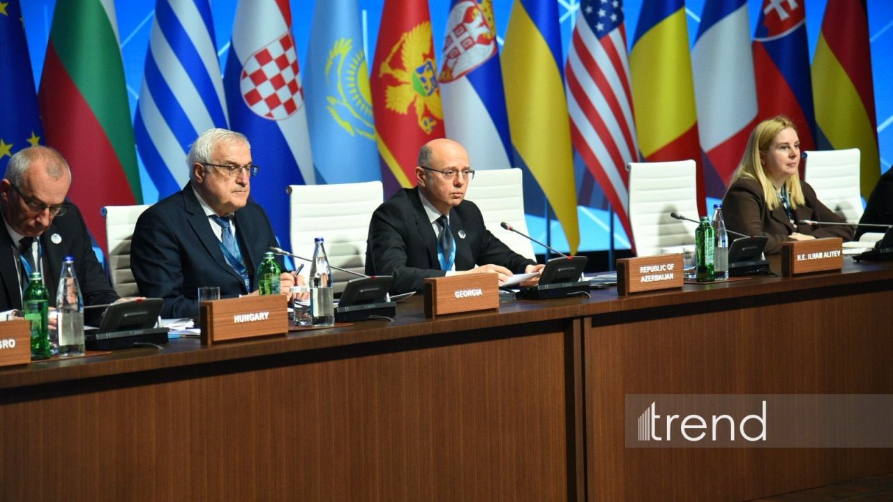 Enerji dilemmasını dərinləşdirən yanaşmalardan imtina etməliyik - Nazir