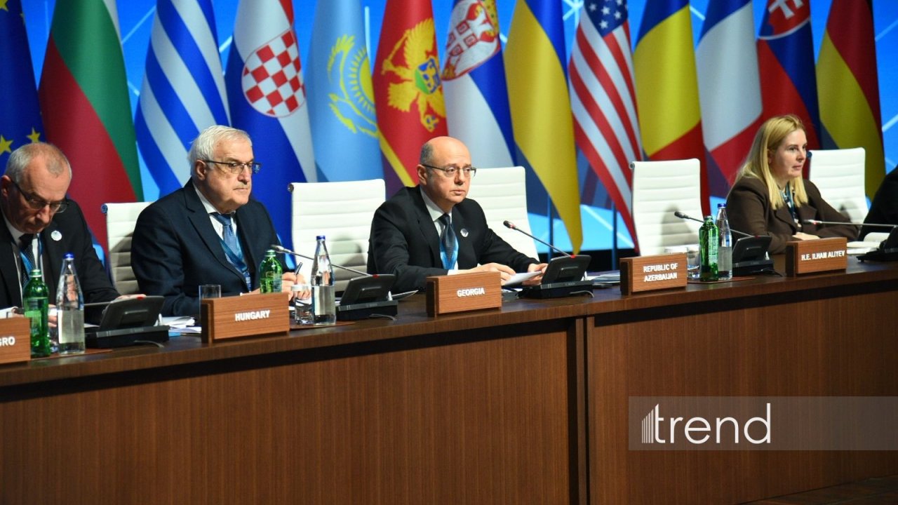 Təbii qaz qarşıdakı onilliklər ərzində enerji təhlükəsizliyinin təməl dayağı olaraq qalacaq - Pərviz Şahbazov