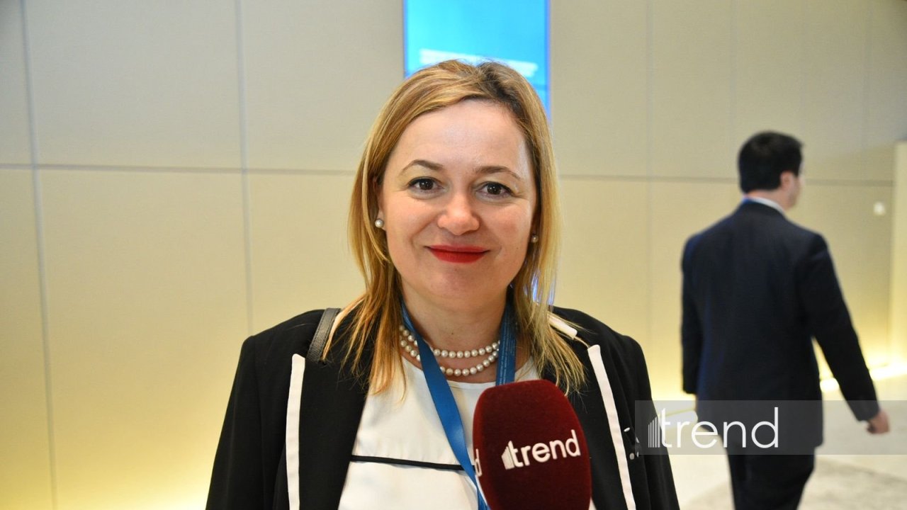 Bolqarıstan enerji sektorunda Azərbaycanla əməkdaşlığın genişləndirilməsində maraqlıdır (ÖZƏL MÜSAHİBƏ)